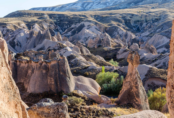 Landscape of natural rock formation Imagination or Devrent Valley, Cappadocia, Goreme, Turkey. - Fotografie, Obrázek