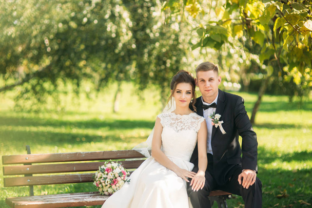 Um jovem casal de roupas de casamento está sentado em um banco em um parque. Tempo ensolarado
 - Foto, Imagem