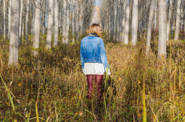 peaceful walk through the forest - Fotografie, Obrázek