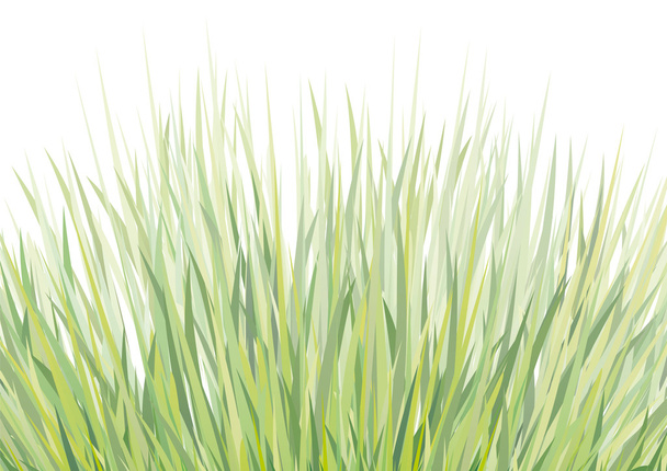 Background with grass - Vector, Image
