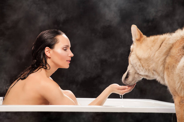 bonita chica morena sentada en tubo de baño blanco a su lado y dar a beber agua con leche de la palma de la mano a su perro lobo
 - Foto, imagen