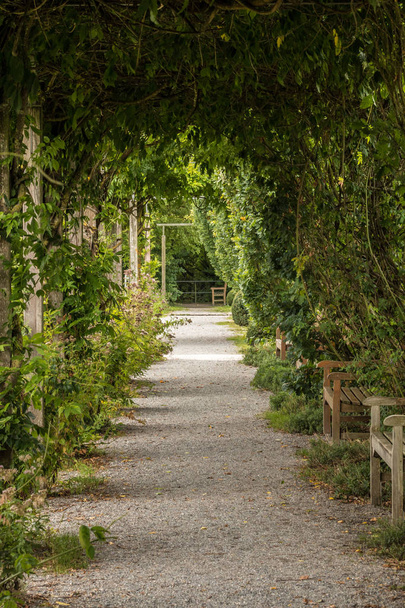 Πάρκο παγκάκια, πράσινη στέγη φύλλων και ένα δύσβατο μονοπάτι - Φωτογραφία, εικόνα