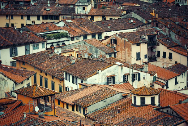 Lucca Dach über dem Blick - Foto, Bild