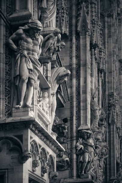 Milano Katedrali'ne portre - Fotoğraf, Görsel