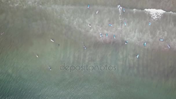 An aerial view of surfers waiting for a wave in the ocean on a clear day. Aerial view of surfer on huge Indian ocean wave. Surfers on the beach top view - Кадри, відео