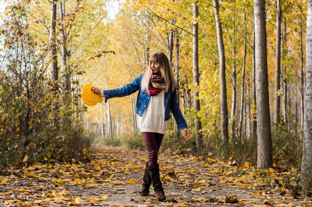 walking through autumn forest - Photo, Image