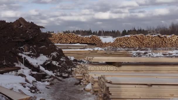 Stapels van verpakte houten planken opgeslagen in tuin van zagerij - Video