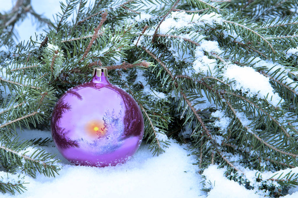 New Year's still-life with a glass ball in snow - Φωτογραφία, εικόνα