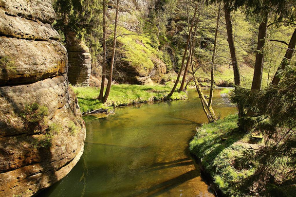Sandstone and river in the Czech Switzerland National Park - Photo, Image