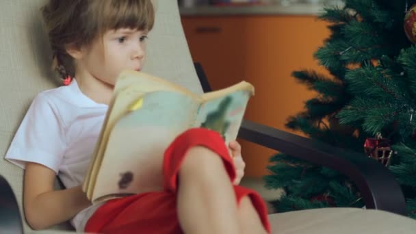 Small girl reading a book in front of Christmas tree - Metraje, vídeo