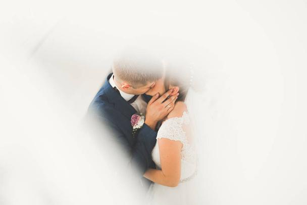 Sensual portrait of a young wedding couple. Outdoor - Photo, image