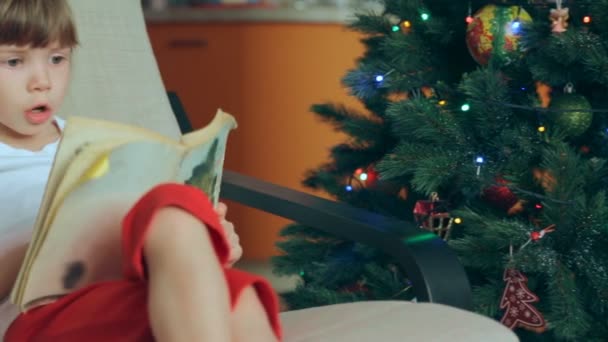 Small girl reading a book in front of Christmas tree - Séquence, vidéo