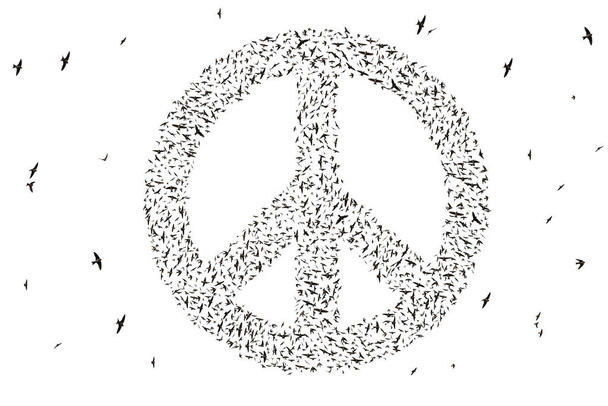 Silueta de pájaros volando en formación de símbolos de paz aislados sobre fondo blanco
. - Foto, imagen