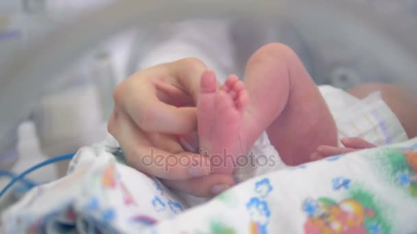 Los dedos de las mujeres tocan pequeños pies de un recién nacido en una clínica
. - Metraje, vídeo