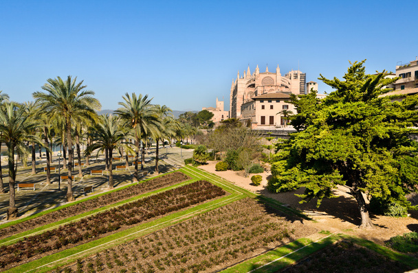 Katedra santa maria Palma de Mallorca, Majorka - Zdjęcie, obraz