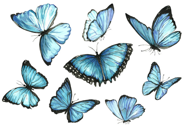 Collection watercolor of flying butterflies. - Fotó, kép