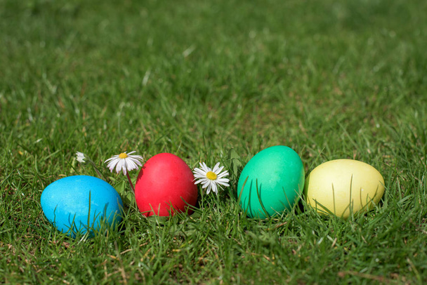 Колір великодні яйця
 - Фото, зображення