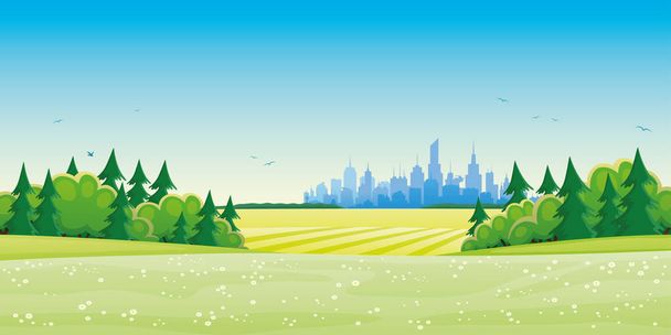 Beautiful summer landscape and city on the horizon. - Vector, Image