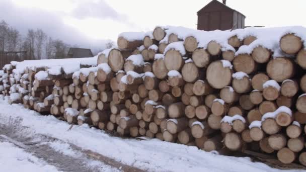 Strauß gefällter Bäume an einem Wintertag mit Schnee bedeckt - Filmmaterial, Video
