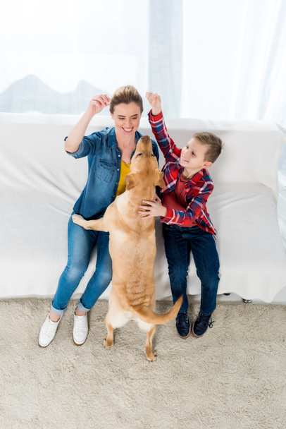 high angle view of mother and son feeding their dog with popcorn while he sitting on floor - Фото, изображение