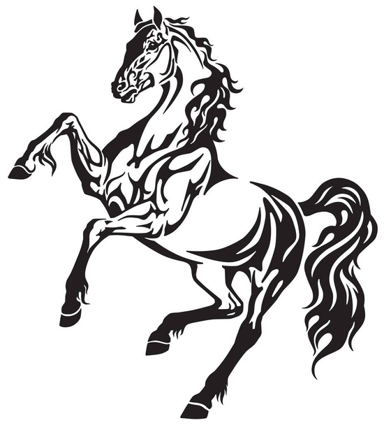 Hřebec koně v odchovu volného pohybu. Elegantní kmenových tetování styl černé a bílé vektorové ilustrace  - Vektor, obrázek