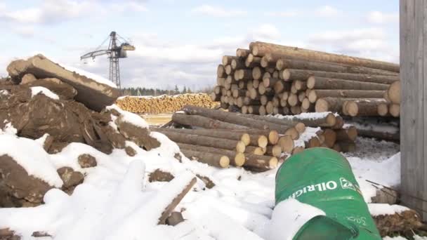 製材所の庭に雪で覆われた木材木材料杭が格納されています。 - 映像、動画