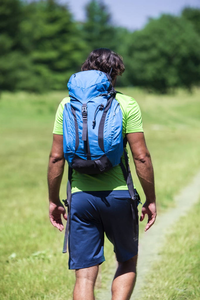 Back view at young man with backpack hiking at green nature - 写真・画像