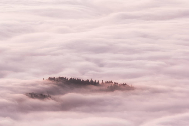 Beautiful mountain landscape of a foggy morning, Ceahlau massif, Eastern Carpathians, Moldova, Romania - Fotó, kép