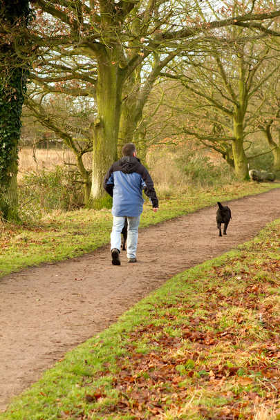 férfi séta kutyák, vidéken - Fotó, kép