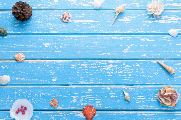 夏のコンセプト、ウッドの背景で貝殻 - 写真・画像