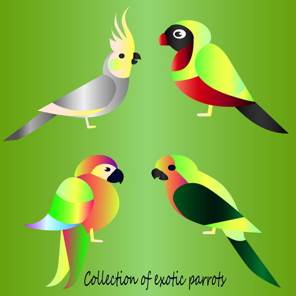 Colección de loros tropicales. Estilo de dibujos animados - bocetos de gradiente brillante de las aves
 - Vector, Imagen