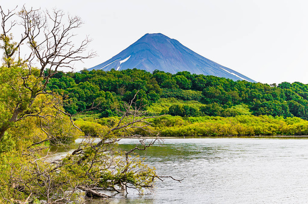 Kurililjärvi. Kamchatka. Venäjältä. Vihreät pellot ja tulivuoret. Luonnonvaraisuus
 - Valokuva, kuva