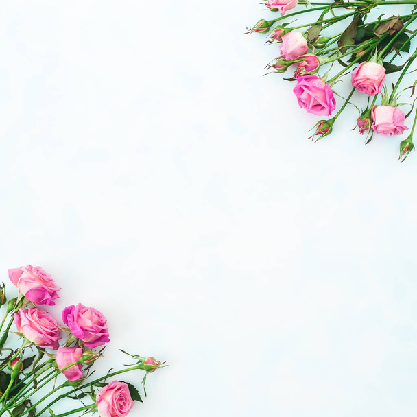  tender pink roses on white background - Photo, Image