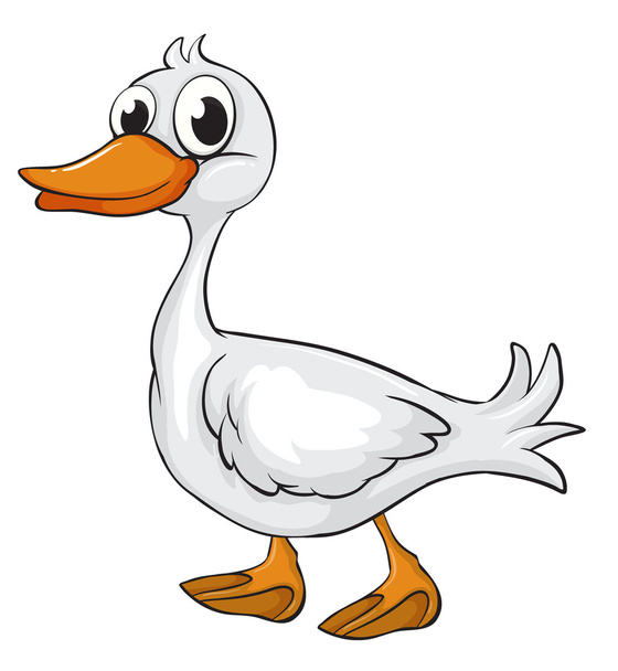A duck - Wektor, obraz