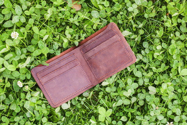 Wallet on grass - Φωτογραφία, εικόνα