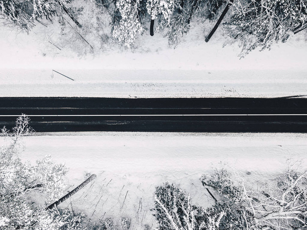 Drone aerial view of road in the snowy forest - Фото, зображення