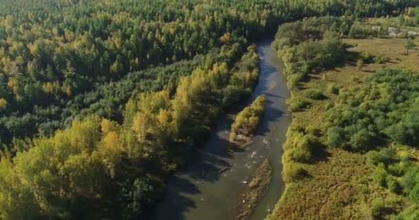 Aerial view of small river with forests. Majestic landscape - Filmati, video