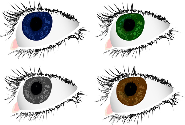 Cuatro ojos de mujer de color
 - Vector, imagen