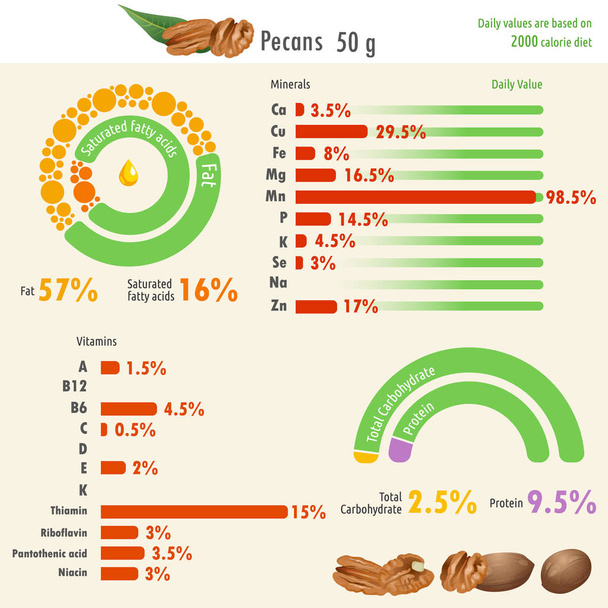 Инфографика пищевой ценности пекана / Инфографическая иллюстрация пищевой ценности пекана со значениями жира, белка, углеводов, минералов и витаминов
 - Вектор,изображение