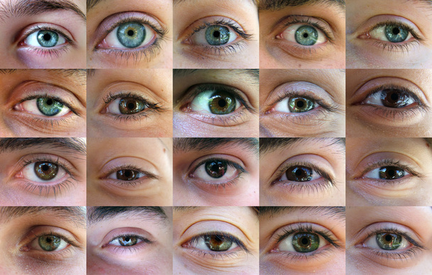 Eyes - Foto, imagen