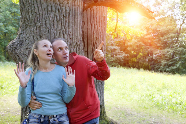 man and  woman near an oak in summer  day have seen something above on a branch  - Photo, Image