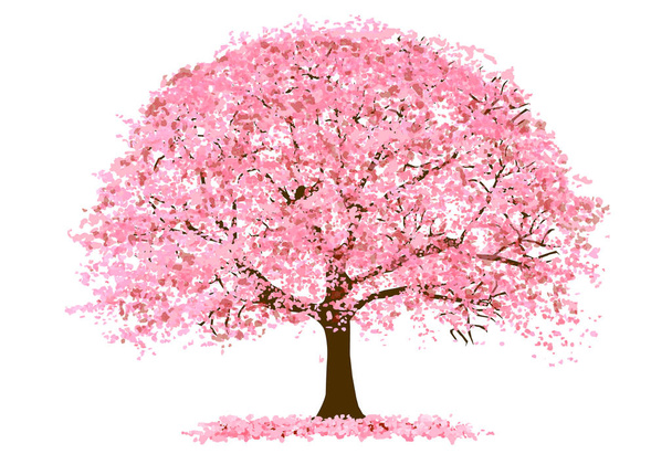 Flores de cerezo icono de la flor de primavera - Vector, imagen