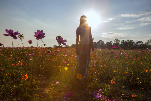 Silhouette féminine dans un champ ensoleillé de fleurs
 - Photo, image