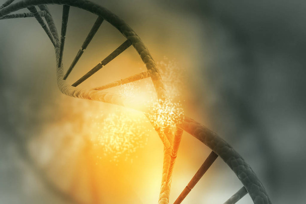 Δομή του DNA στο χρώμα φόντου - Φωτογραφία, εικόνα