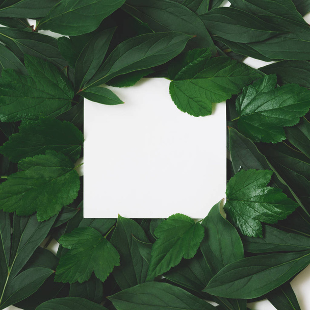 Creative layout made of green leaves with empty blank for note on black. Top view. Nature concept. - Zdjęcie, obraz