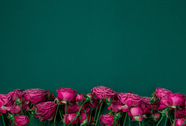 Pion-shaped roses, a bouquet of pion-shaped roses on a colored background, pink pion-shaped roses. Gift for St. Valentine's Day and March 8. Roses - Foto, Imagem