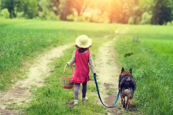 Little girl walks with a dog on a rural road to a picnic - Foto, imagen