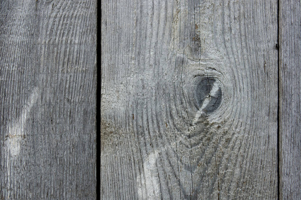 Grey wood texture. Abstract background, empty template - Фото, зображення