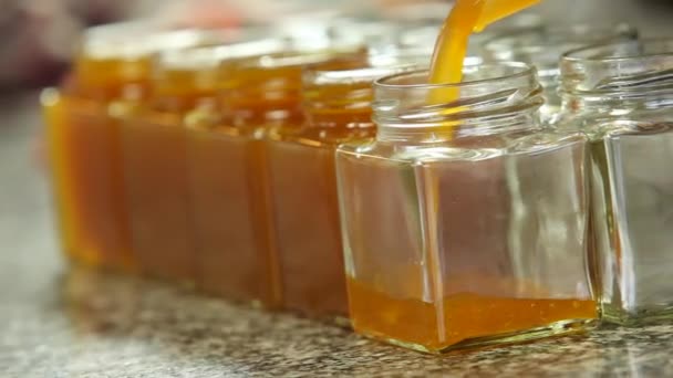 Poring Mermelada de naranja en un frasco
 - Imágenes, Vídeo