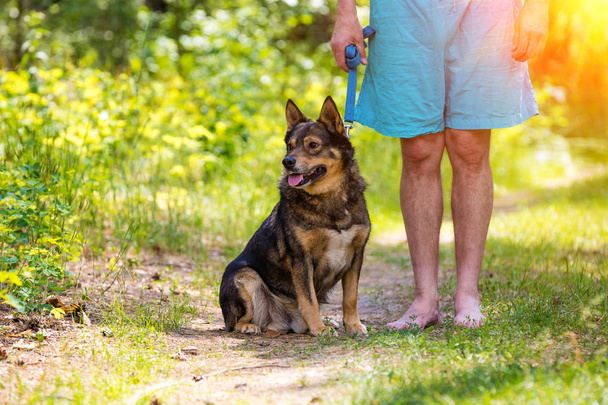 A man stands barefoot with a dog in the forest in summer - Foto, Imagem